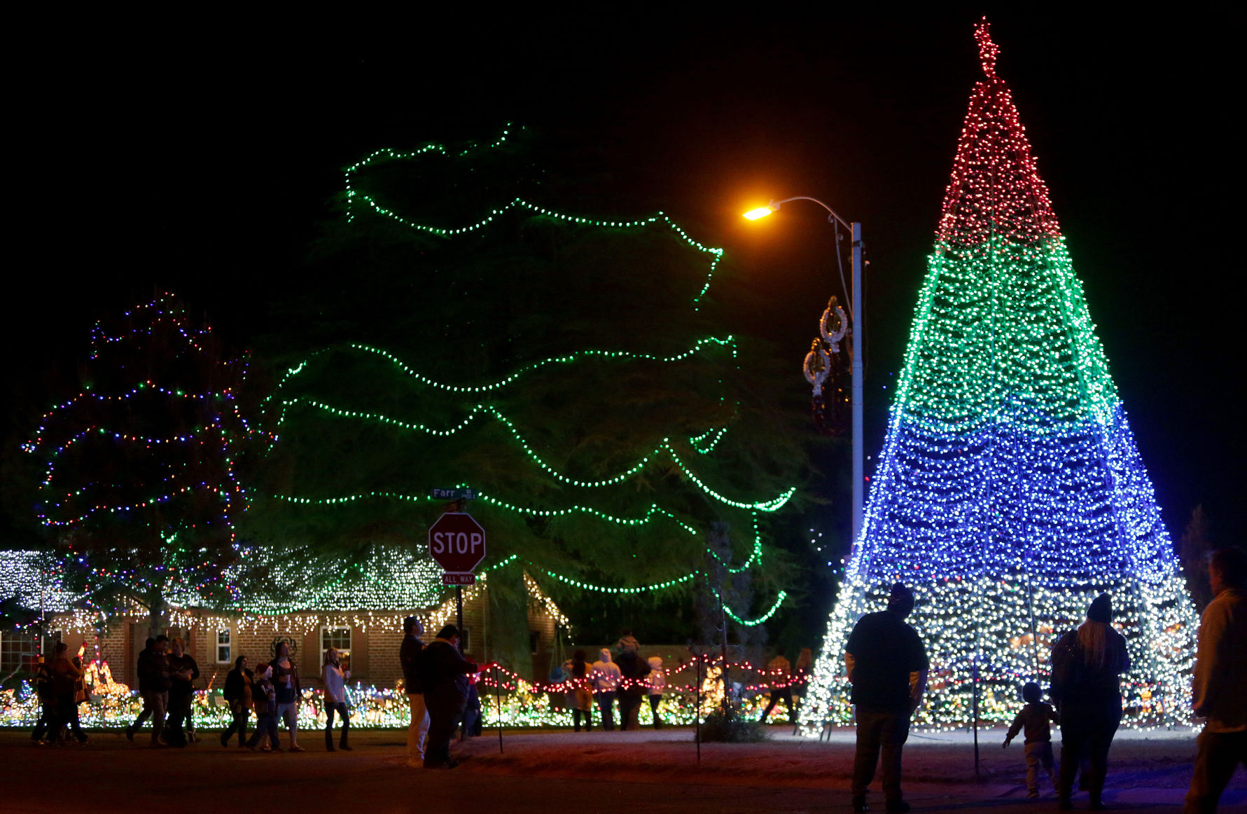 Winterhaven Festival of Lights